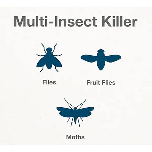 Miniatura 4 de Dynatrap DT3005W - Paquete de 32 repuestos de puntos para tarjetas de pegamento Safer Home SH502