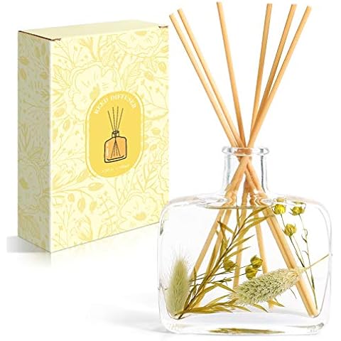 Scent-Hi Reed Diffuser for Home, Reed Diffuser, 100ml Reed Diffuser Oil with 6 Rattan Sticks, Wood Sage & Sea Salt Fragrance with Dry Flowers, Reed Diffuser Gift Set for Women, Men, Birthday, Bedroom Cover