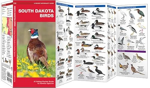 South Dakota Birds: A Folding Pocket Guide To Familiar Species (Wildlife And Nature Identification) #TOP1