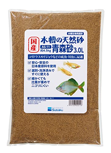  Y ̓VR X 3.0bg ׂڂŃjSɂ