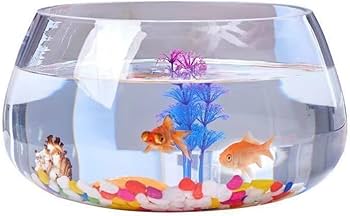 Amazon | 金魚鉢 ガラス金魚鉢 丸型金魚鉢 飼育水槽 亀の水槽 魚の水槽