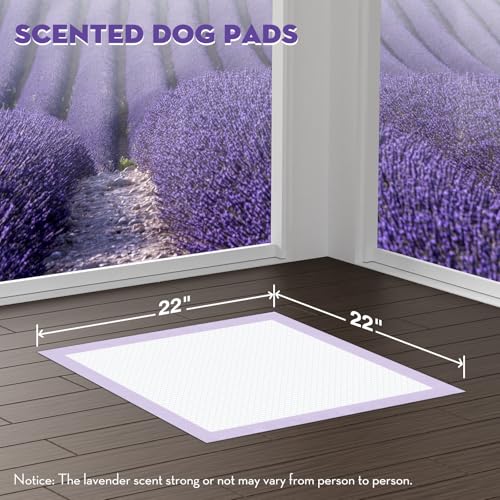 Image of CROCI 22x22in Puppy Pads 100 Count with Adhesive Tabs, Dog Pads Absorbs Up to 3 Cups Potty Training, Disposable