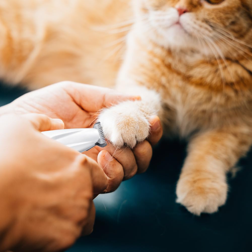 Tondeuse pour Pattes Chien Silencieuse, Tondeuse pour Chien et Chat, Lames Céramique et Inox, LED Intégrée, Rechargeable USB, Étanche, Toilettage Zones Sensibles pour Pattes, Yeux, Oreilles