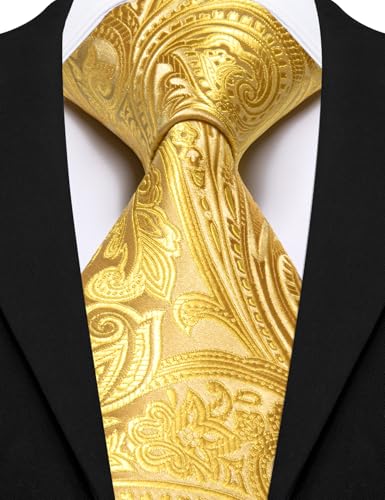 Image of Barry.Wang Paisley Tie for Men Silk Woven Necktie and Tie Clip Set Wedding Party Business Formal