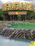 Beaver Dams (Natures Engineers)