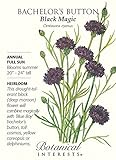 Black Magic Bachelor's Button Seeds - 1 Gram