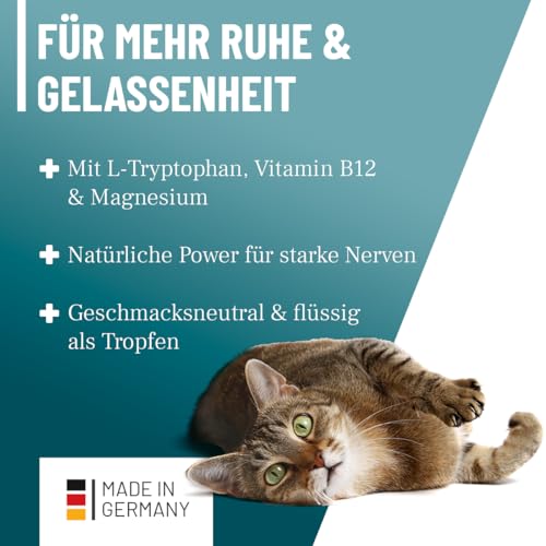 ReaVET Relax Liquid für Katzen 50ml - Beruhigung mit Baldrian, L-Tryptophan, Vitamin B12 & Melisse I Beruhigungstropfen bei Silvester, auf Reisen & Autofahrt