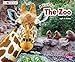 A Visit to the Zoo: A 4d Book
