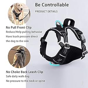 Funfox Dog Harness Medium Sized Dog No Pull Dog Vest Adjustable Comfortable Breathable Material Reflective Strips with Metal Clip for Control Easy Walking for Medium Breed Dogs Black  Cucciolini Doodles Funfox dog harness medium sized dog no pull dog vest adjustable comfortable breathable material reflective strips with metal clip for control easy walking for medium breed dogs black   cucciolini doodles