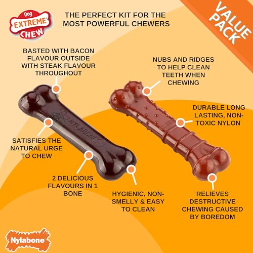 Nylabone, Basted Blast, Extrem starker Kaueffekt, Hundespielzeug aus Nylon, Knochenform, Haltbarer Kauknochen, Geschmack: Speck und Steak, Klein, Für Hunde bis 11 kg, 2er Pack