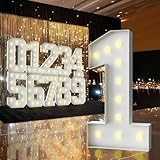 3FT Marquee Light Up Numbers,Marquee Numbers 3 Feet Tall, Giant Mosaic Numbers for Party,Birthday Decorations,Baby Shower,Wedding,Engagement,Graduation(Number 1)