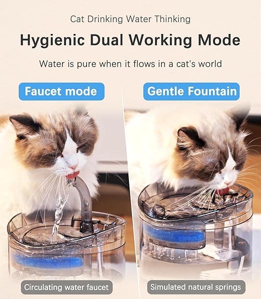 Image of Cawypety Cat Drinking Fountain, Water Dispenser for Cats with Water Level Window, Cat Flower Art Water Bowl, Hygiene Filter, Pet Drinking Fountain (Transparent)