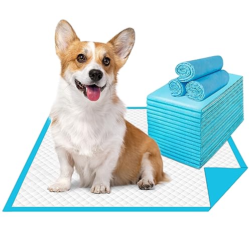 Heavy-Duty-Puppy-Pee-Pads-6-Layer-Disposable-Wee-Wee-Pads-for-Dogs-Super-Absorbency-Leak-Proof-Potty-Training-Pet-Pads-Dog-Housebreaking-Supplies-for-Cats-Rabbits-and-more-50-count-18x24 - Cucciolini Doodles   Heavy-Duty-Puppy-Pee-Pads-6-Layer-Disposable-Wee-Wee-Pads-for-Dogs-Super-Absorbency-Leak-Proof-Potty-Training-Pet-Pads-Dog-Housebreaking-Supplies-for-Cats-Rabbits-and-more-50-count-18x24