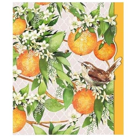 Greeting Card (NQ-NPG54) - Blank/Birthday - Orange Blossom and Bird - from The Pizazz Gallery Range - Suitable for Birthdays and Other Occasions Cover