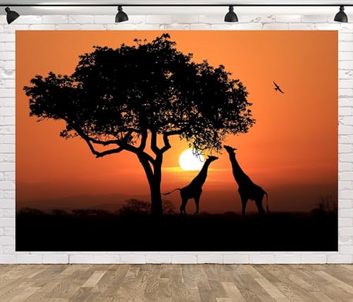 CORFOTO 7x5ft Fondo de Jirafas sudafricanas Atardecer en África Fondo de fotografía Paisaje Africano Jirafas bajo un árbol Parque Nacional Salvaje Paisaje Foto telón de Fondo
