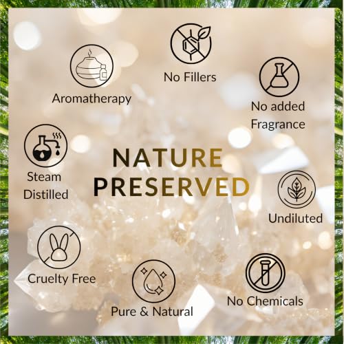 Image of Olibanum Essential Oil (Boswellia carterii) Pure | Non-Sticky | Non-Greasy | Lightweight | Men & Women | All Skin Types | Steam Distilled 15ml (0.5 oz)