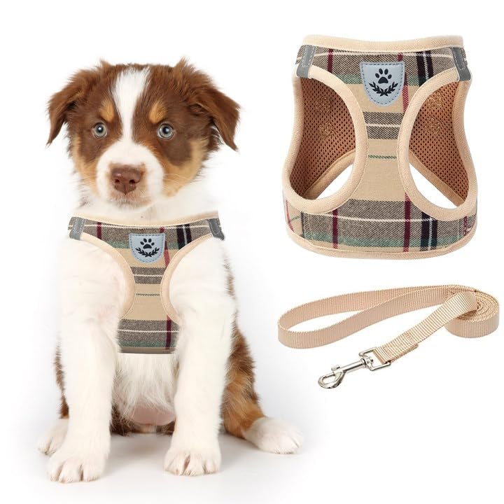 KOOLTAIL Dog Harness small dog, Soft Mesh Small Dog Harness and Lead Set