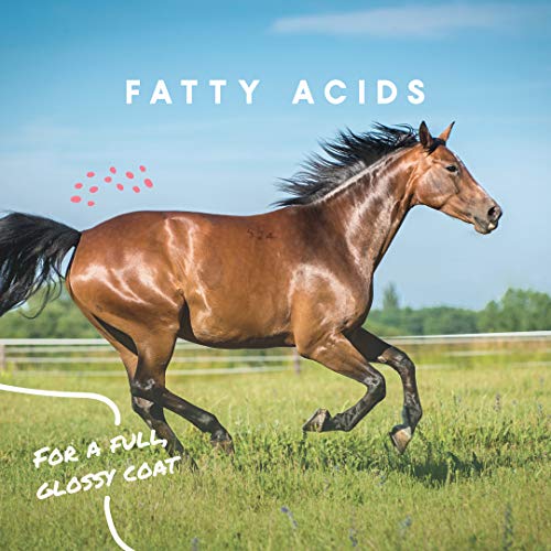 Manna Pro 1000085 Cool Calories 100 | Equine Dry Fat Supplement thumb #4