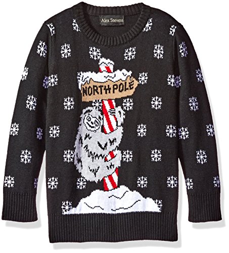 Alex Stevens Boys' Sloth Pole Sweater