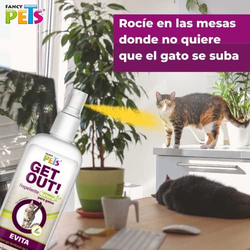 Listado y reviews de Productos de gatos disponible en línea para comprar. 9 Imagen adicional