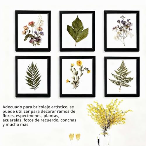Miniatura 7 de 3d Marco De Fotos, Marco De Vitrina Cuadrado 30 X 30 Cm, Con Placa Acrílica Transparente, Phoframe De Objetos 3d De Madera Para Recuerdos Profundo 3cm, Para Regalo De Boda, Negro