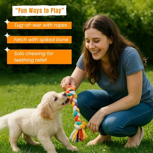 Image of Dog Rope Toys + Chew Toys, Combo (Pack of 7)
