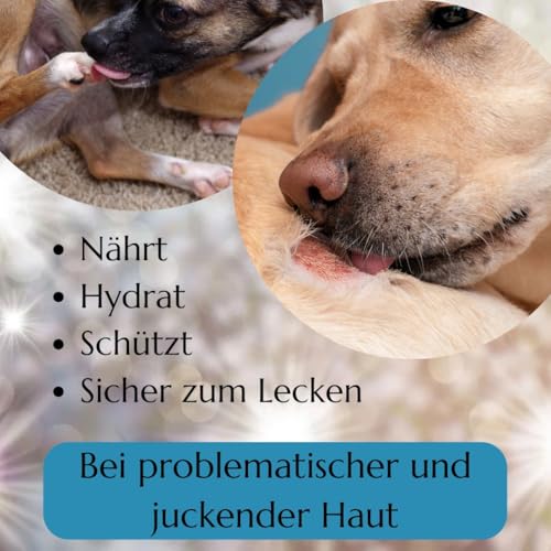 Hautölspray für Hund mit Ekzemen | Hautöl für Hunde | Juckreizmittel | Natürliche Fellpflege für Seidiges Fell & Vitale Haut | mit Hanf, Aloe, Mandelöl, VIT E | Natürlicher Schutz 100 ml