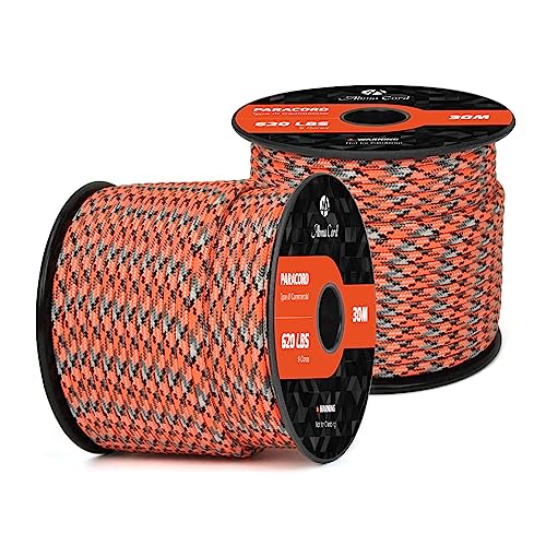 Abma Cord Paracord 620 lbs 4mm 9 Strands 100% Nylon 30M - Corrosion, Multi Color-corrosion, 30 Meters
