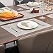 Myir JUN Placemats Set of 8, Vinyl Woven Placemats Place Mats Indoor Set of 8 Washable Table Mats Non-Slip Place mats for Dining Table (Silver, Set of 8)