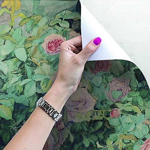 Fotomurale 360x250 Entretela con Foto Pegatina de Jardín de Rosas Viejas para Paredes 4