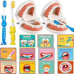 Skylety 2 Set Dentist Kit for Kids Dental Teeth Model with Toothbrush and Children Dental Educational Cards, Dentist Standard Size Fake Braces Demonstration Dental Teaching Kit for Children Student