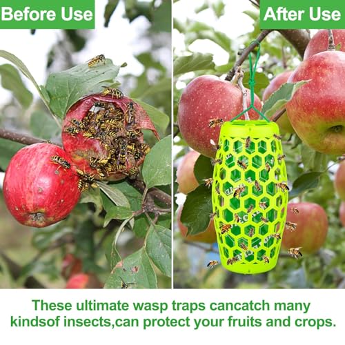 Defendy AL-WASPTRAP-GREEN-2PC-BJQ-081501 Wasp Traps Outdoor Hanging thumb #3