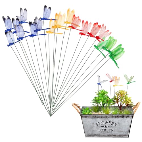 Abaodam 40?^?|Xe[NX ό󐫐JtOpŐ ȒPݒułpeBIʂ郊AȃhStCA[g