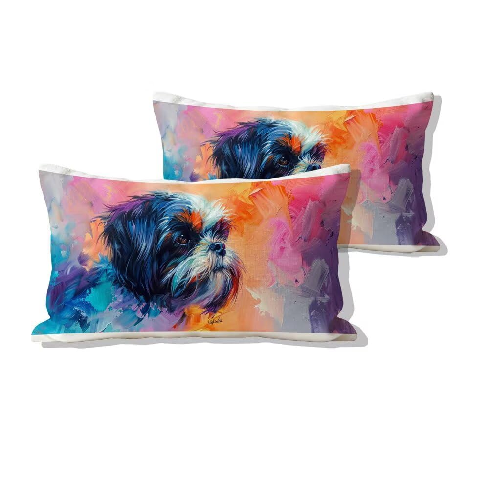 Housses de coussin 50x70cm lot de 2 en velours doux lavable pour canapé