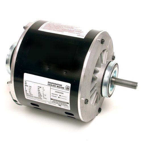 DIAL 2205 3/4 hp 115V 1SPD Motor