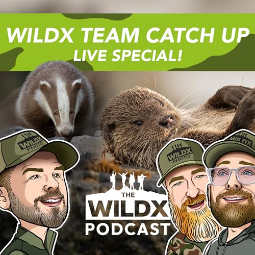 Page de couverture de Episode 36 - WILDX TEAM CATCH UP - Live Special