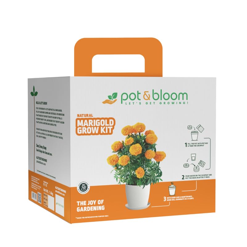 Marigold Kit| Plant for Home Gardening| Plant Seeds, A Pot, Potting Mix (Soil & Fertilizer Mix), Nutrition and Protection Spray| Gardening Kit For Beginners | DIY Kit-image-32