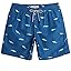 Green Shark-blue Green Shark-blue
