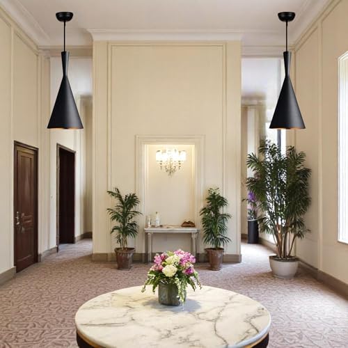 Image of GreyWings Modern Black Aluminium Hanging Pendant Light for Ceiling, Dcorative Lamp, 27 Holder, Inoor Light for Dining, Kitchen, Living Room,(Big) Pack of 1