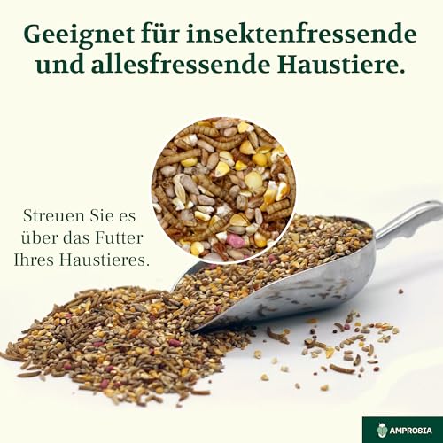 Amprosia Mehlwürmer lebend, Eiweißreiches Futter und Leckerbissen für Reptilien, Amphibien, insektenfressende Haustiere und Vogelfutter, Würmer Snack für Haustiere 50g, Lebende