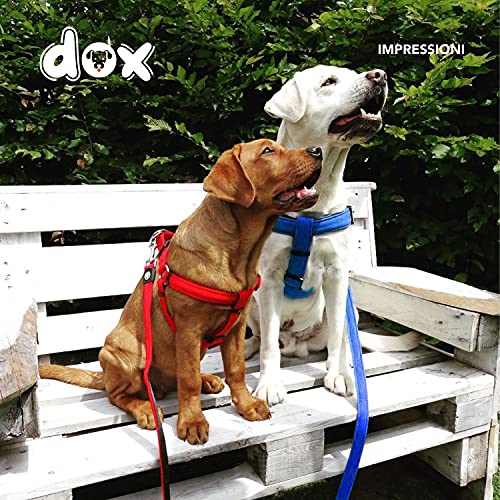 DDOXX Pettorina Cane Step-In Nylon, Riflettente