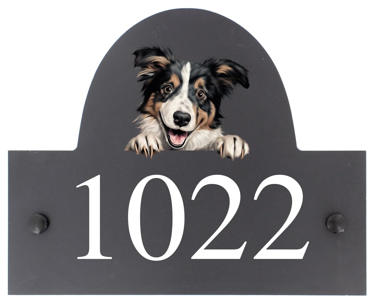 Targhetta personalizzabile con nome o numero civico in ardesia con cane Collie, 25 x 20 cm