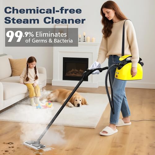Image of Waitbird Steam Cleaner, Steam Cleaner For Home, Handheld Steamer For Cleaning With 21 Accessories,248 F High Temperature,Suitable for Grout,Floor,Sofas,Upholstery,Window,Carpet
