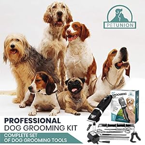 Professional Dog Grooming Kit - Cordless Low Noise Dog Clippers for Grooming Thick Coats - All Pet Safe Cat Hair Trimmer - Pet Grooming Kit Includes Dog Hair Clippers, Nail Trimmer & Shears Professional Dog Grooming Kit – Cordless Low Noise Dog Clippers for Grooming Thick Coats – All Pet Safe Cat Hair Trimmer – Pet Grooming Kit Includes Dog Hair Clippers, Nail Trimmer & Shears