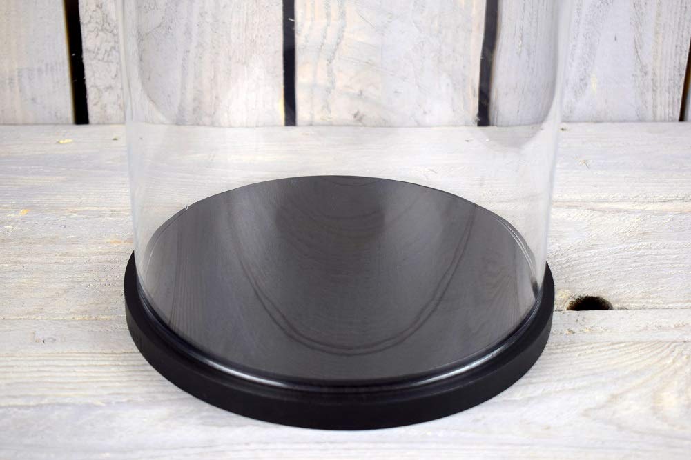 EMH Campana de cristal con base negra, 31 x 15 cm