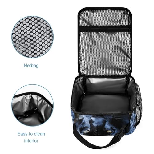 3 Pcs Backpack Set Panther With Blue Eyes Travel Bag Portable Casual Daypack Sports Backpacks with Lunch Box Pencil Case 6
