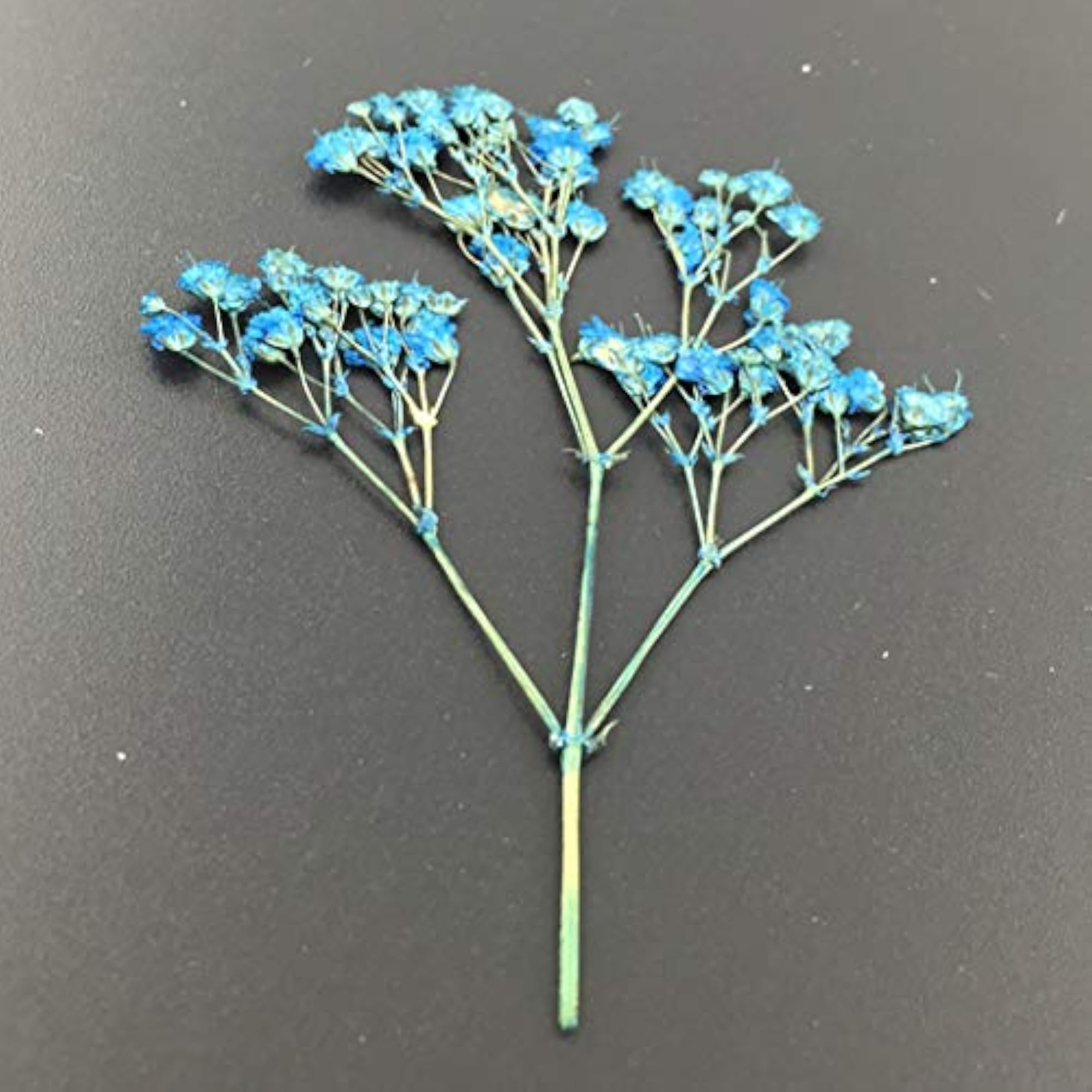 50PCS Multipurpose Dried Flower Craft Material Kit