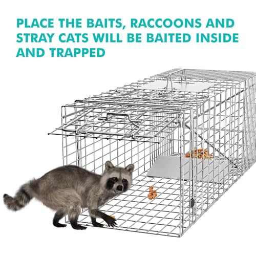 Live Animal Cage Trap, 31" x 11" x 12" Heavy Duty Folding Raccoon Traps, Humane Cat Trap for Stray Cats, Raccoons, Squirrel, Skunk, Mole, Groundhog, Armadillo, Rabbit - Thumbnail 5