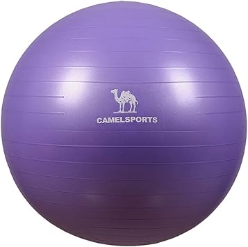 Amazon ヨガボールフィットネスボール肥厚防爆減量バランス子供妊娠中の出産助産師ボール Color Purple Size 75cm Wxh ヨガボール バランスボール