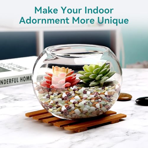 Image of 5lbs Pebbles for Indoor Plants, 3 /8 Inch Small Rocks for Potted Plants, Succulents, Vase Fillers, Cactus Planters, Bird Bath, Fountain, Outdoor Garden Landscaping